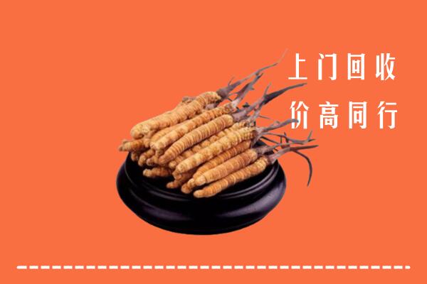收购行情：朝阳区回收散虫草